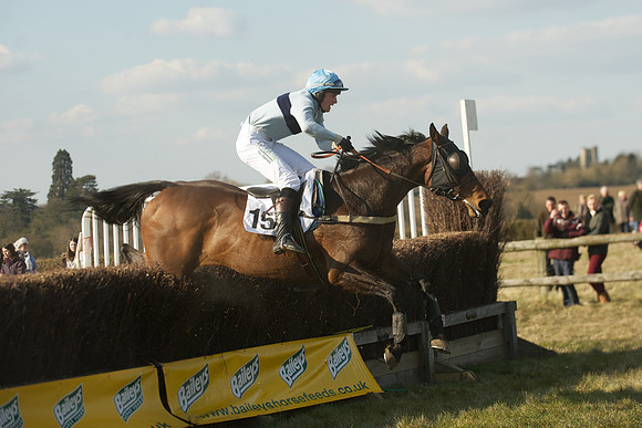 Race 5 -  60