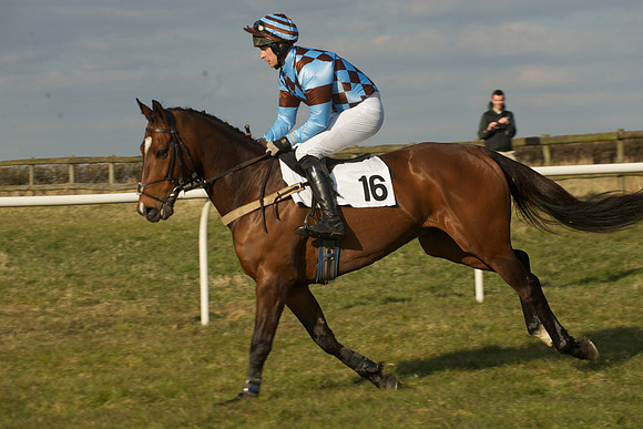 Race 6 -  8