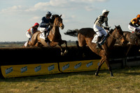 Race 6 -  17