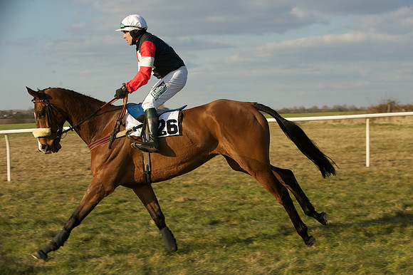 Race 7 -  5