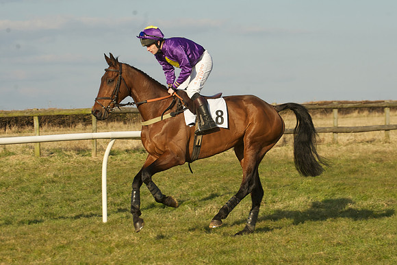 Race 7 -  7