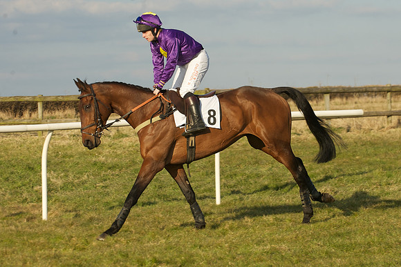 Race 7 -  8