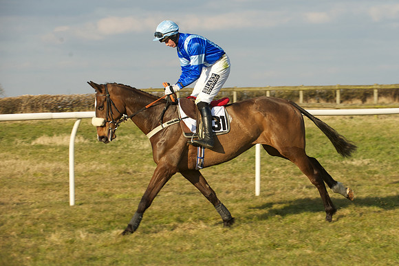Race 7 -  12