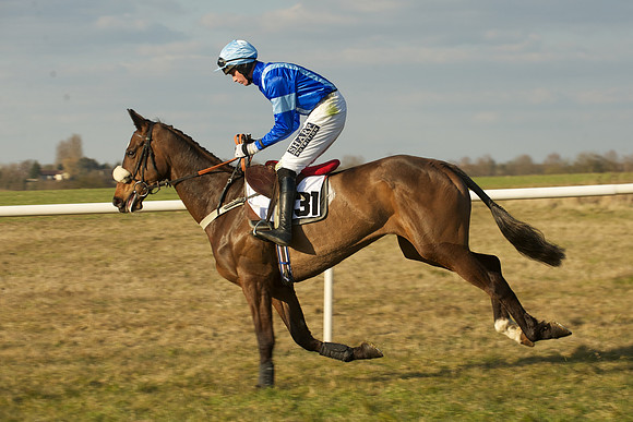 Race 7 -  14