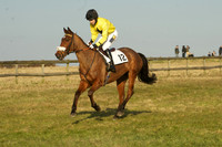 Race 7 -  15