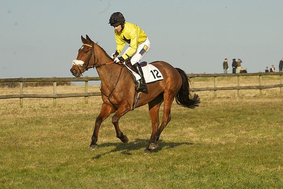 Race 7 -  15