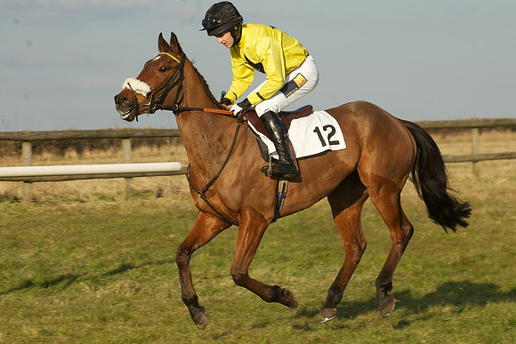Race 7 -  16