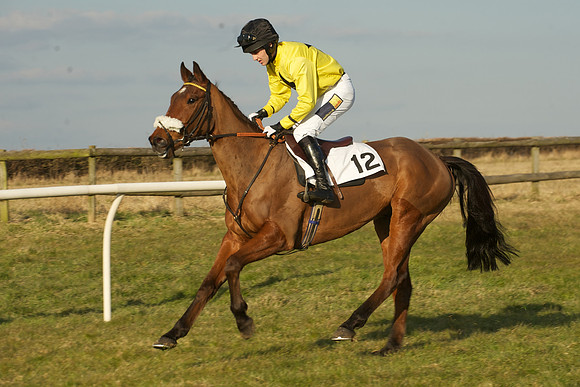 Race 7 -  17