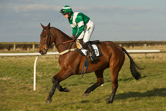 Race 7 -  20
