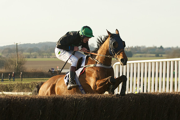 Race 7 -  41