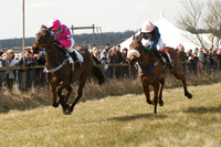 Pony Races 66