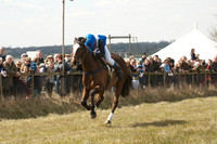 Pony Races 69
