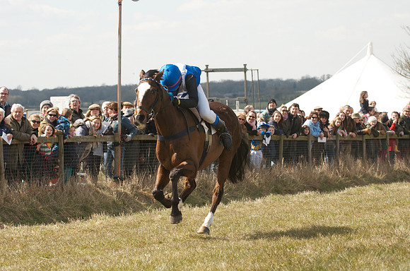 Pony Races 69