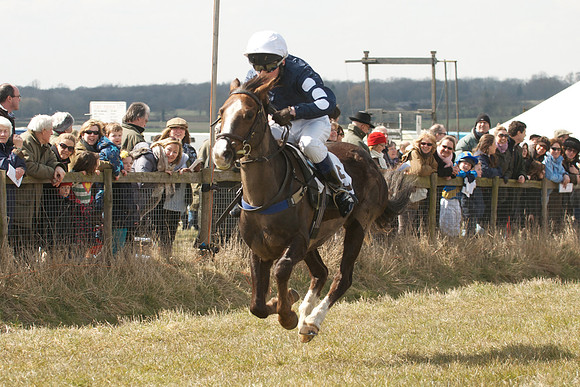 Pony Races 72