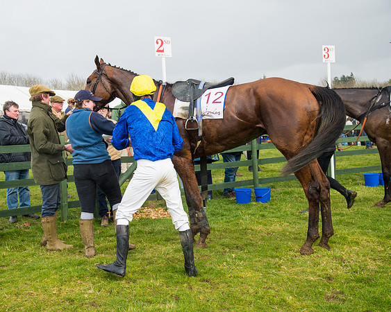 Race 2 - Open Maiden (118 of 128)