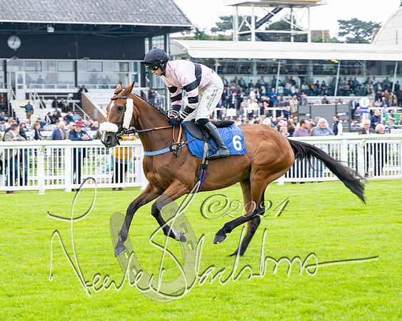 Race 3 - John Corbet Cup  (23 of 108)