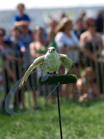 picture-15