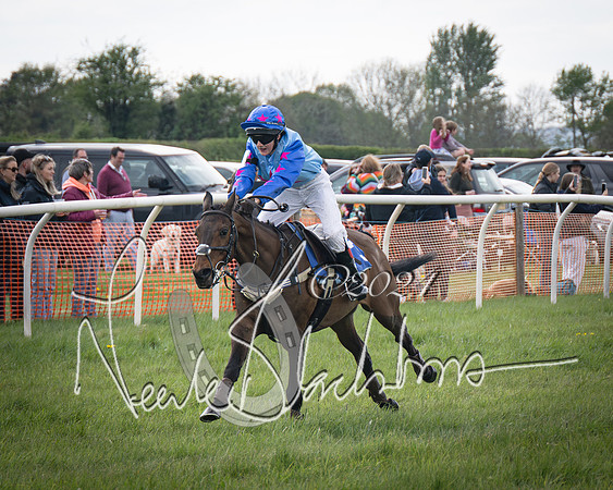 Pony Race 2 (62 of 84)-