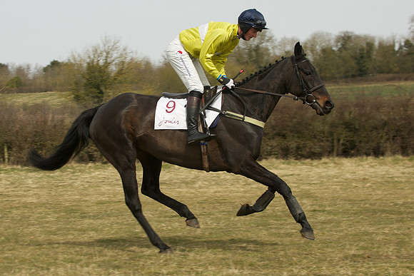 Race 1 -  11