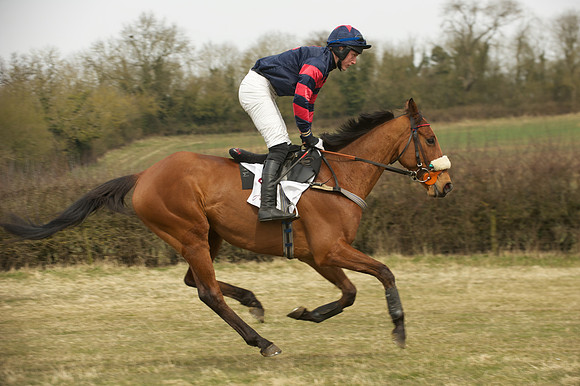 Race 2 -  12