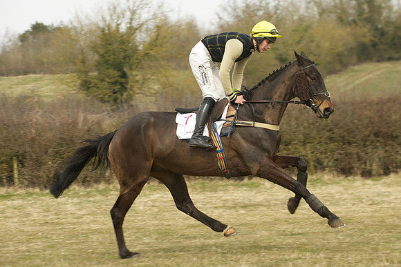 Race 2 -  16