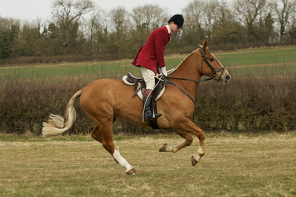 Race 3 -  4