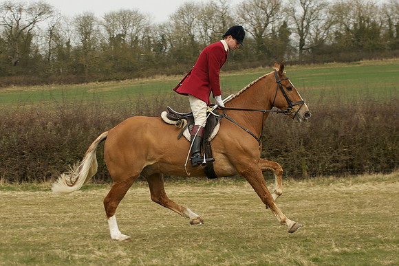 Race 3 -  5