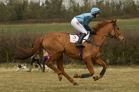 Race 3 -  11