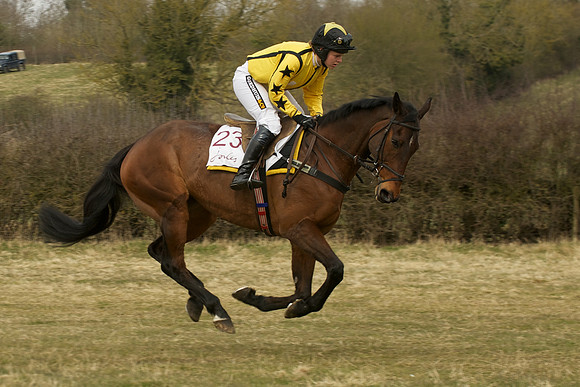 Race 3 -  16