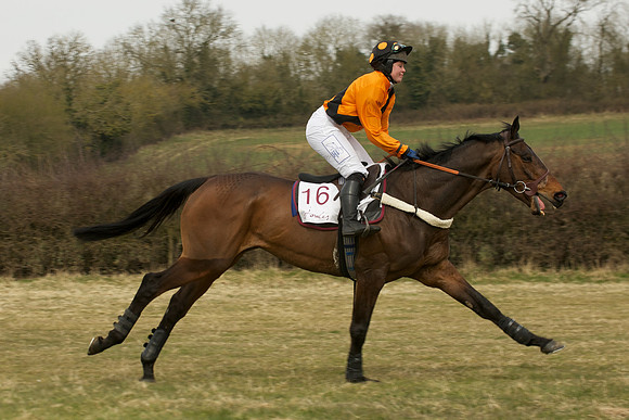 Race 3 -  29