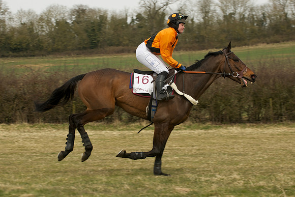 Race 3 -  30