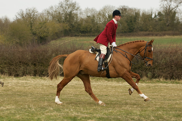 Race 3 -  35