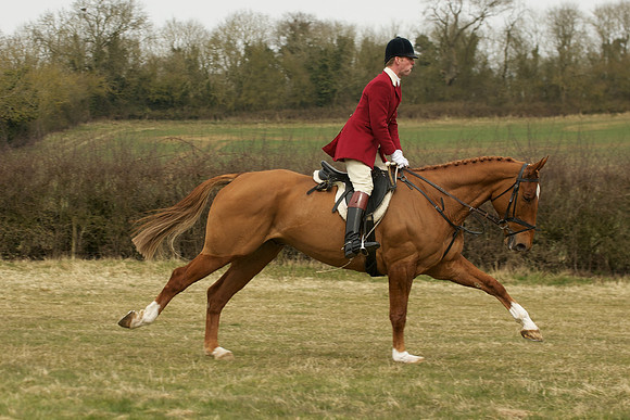 Race 3 -  36