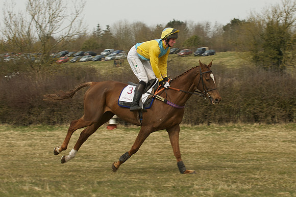 Race 4 -  7