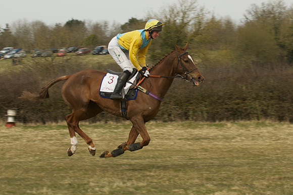 Race 4 -  8