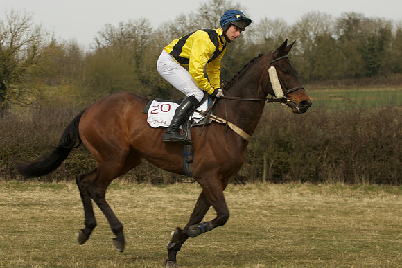 Race 4 -  15