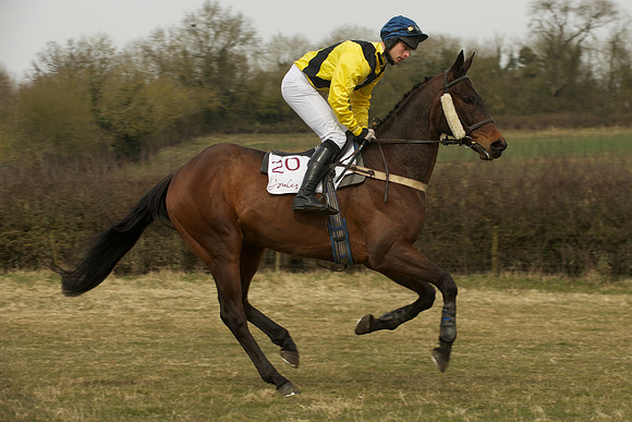 Race 4 -  16