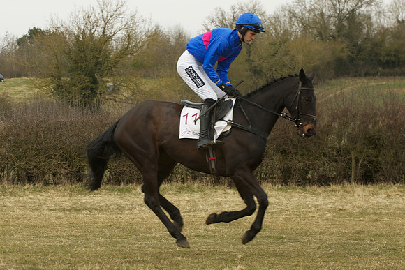 Race 5 -  2