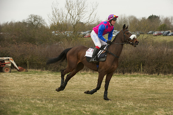 Race 5 -  6
