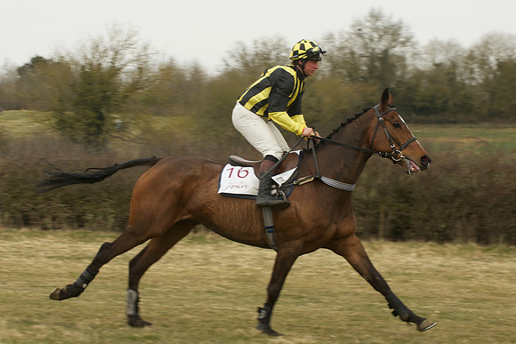 Race 5 -  15