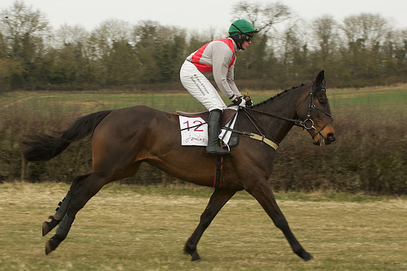 Race 5 -  20