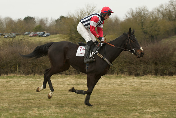 Race 5 -  21