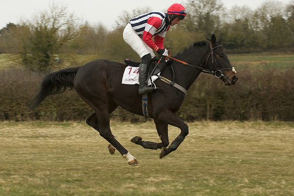Race 5 -  22