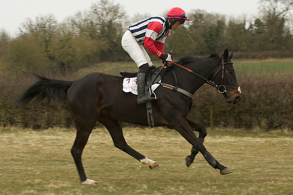 Race 5 -  23