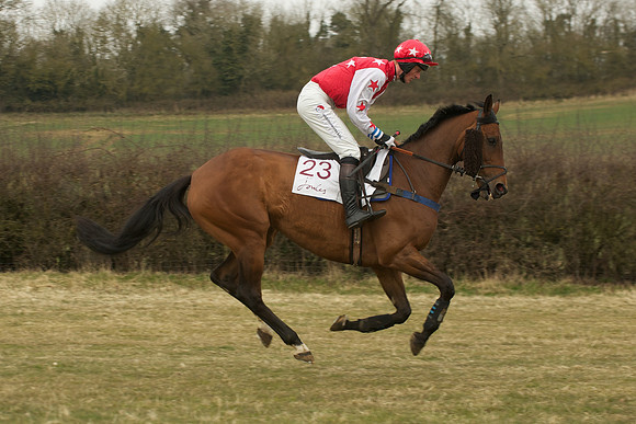 Race 5 -  25