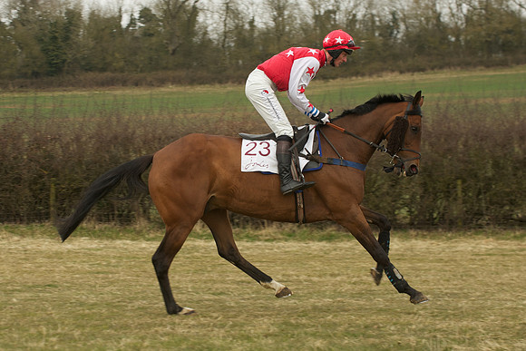 Race 5 -  26