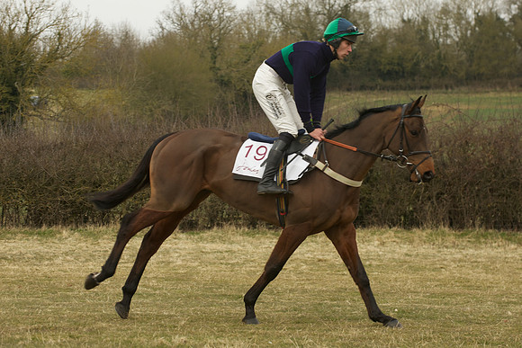 Race 5 -  29