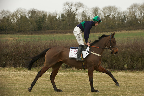 Race 5 -  30