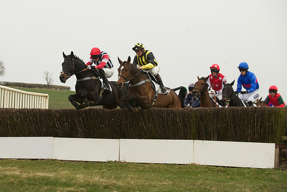 Race 5 -  32