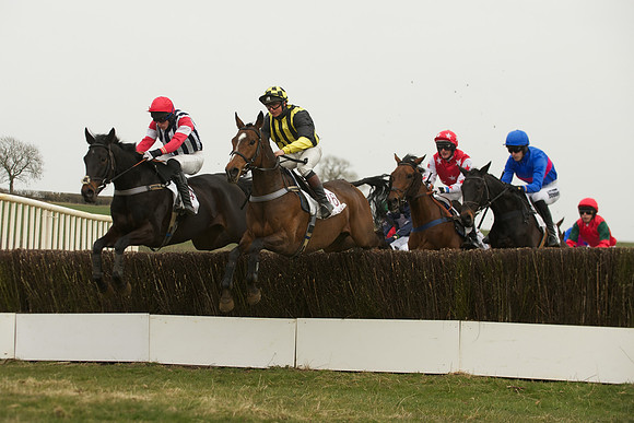 Race 5 -  33